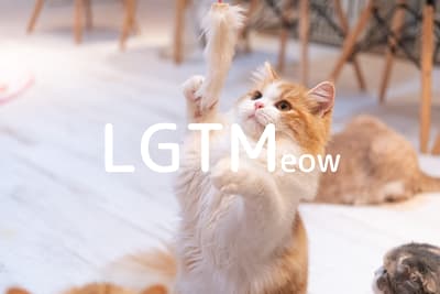 lgtm-cat-image