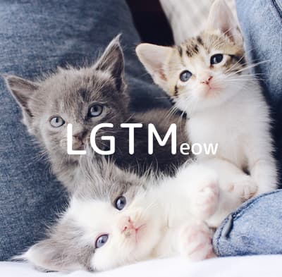 lgtm-cat-image